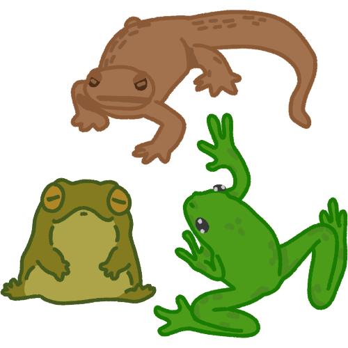 A brown salamander, a green bullfrog, and a green tree frog.